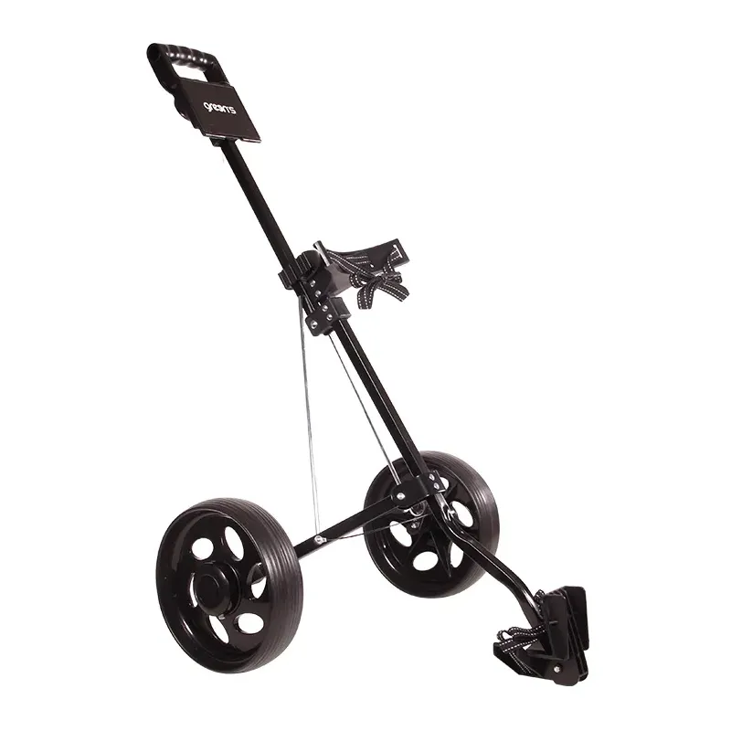 CHARIOT JUNIOR 2 ROUES Small 1