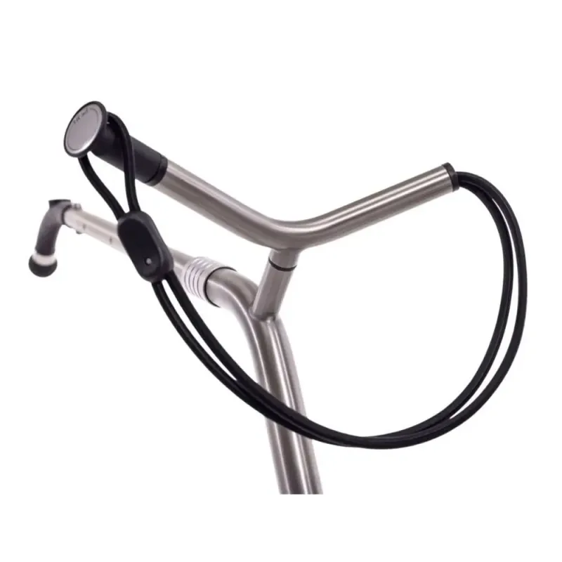 CHARIOT GOLDFINGER CHARIOT GOLDFINGER