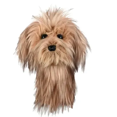 CAPUCHON SCRUFFY DOG