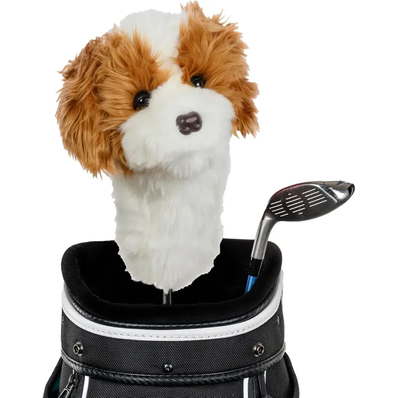 CAPUCHON CAVAPOO CAPUCHON CAVAPOO