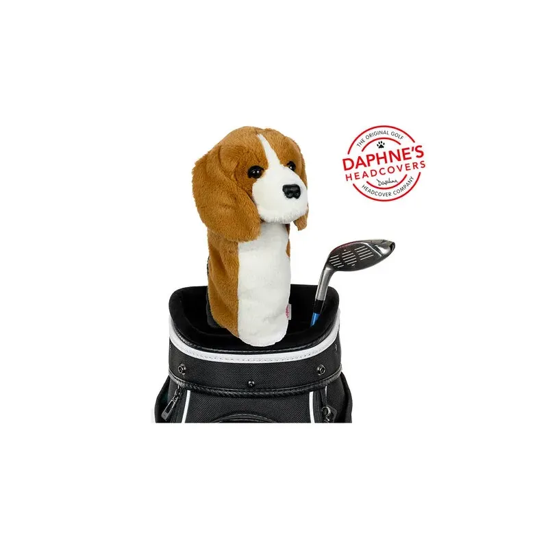 CAPUCHON BEAGLE