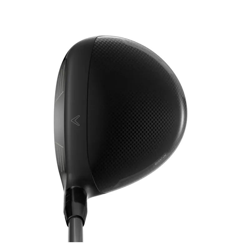 BOIS DE PARCOURS QUANTUM MAX D DENALI FROST 60G