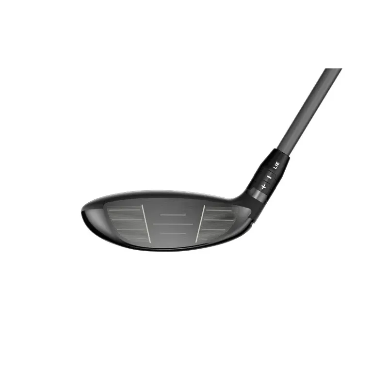 BOIS DE PARCOURS QUANTUM MAX DENALI FROST 60G BOIS DE PARCOURS QUANTUM MAX DENALI FROST 60G