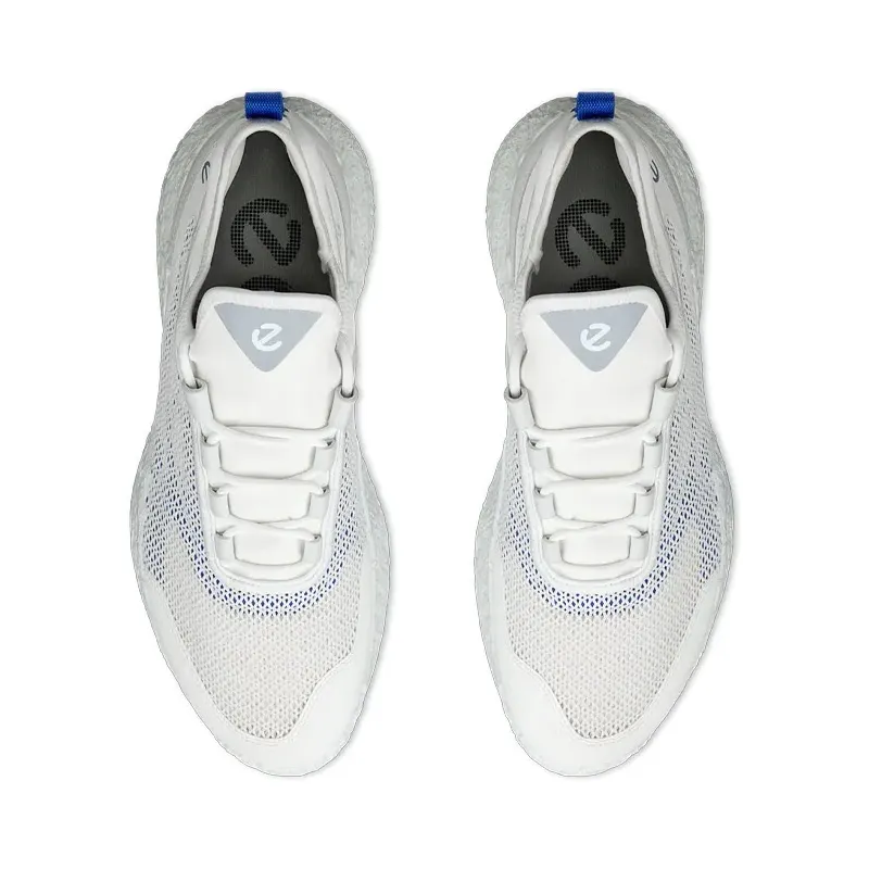 CHAUSSURES GOLF BIOM H5