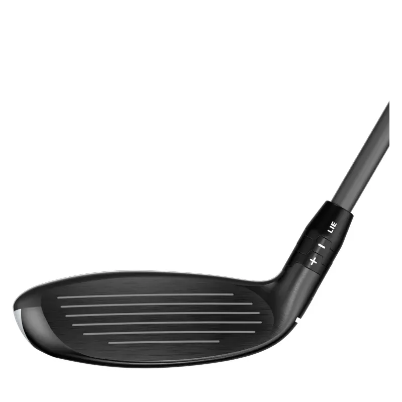 HYBRIDE QUANTUM MAX OS DENALI FROST