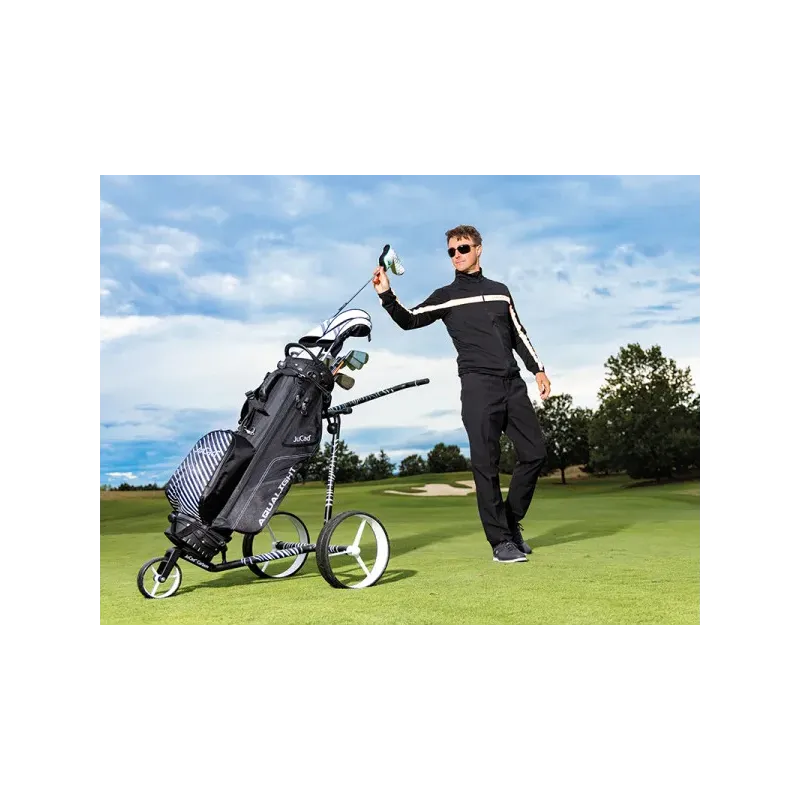 CHARIOT CARBON ZEBRA 3 ROUES