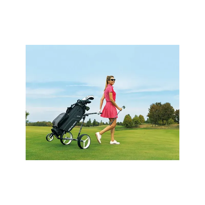 CHARIOT CARBON ZEBRA 3 ROUES