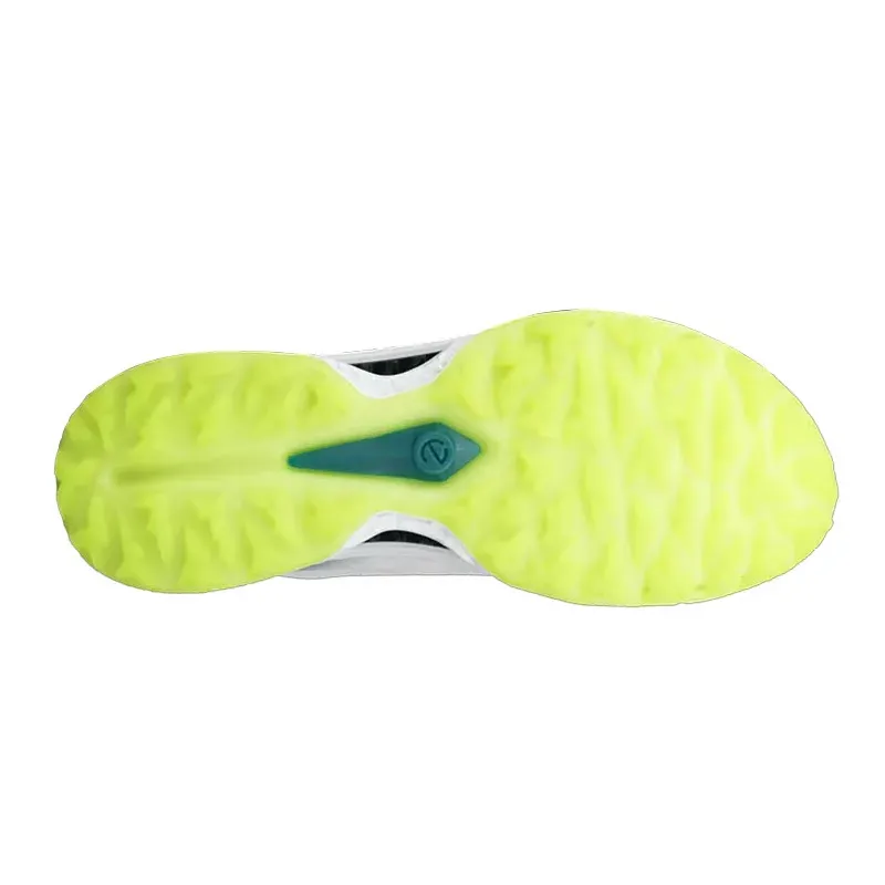 CHAUSSURES BIOM C5 BOA
