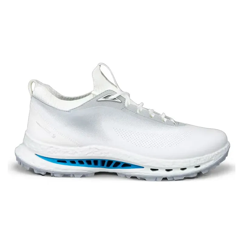 CHAUSSURES GOLF BIOM C5