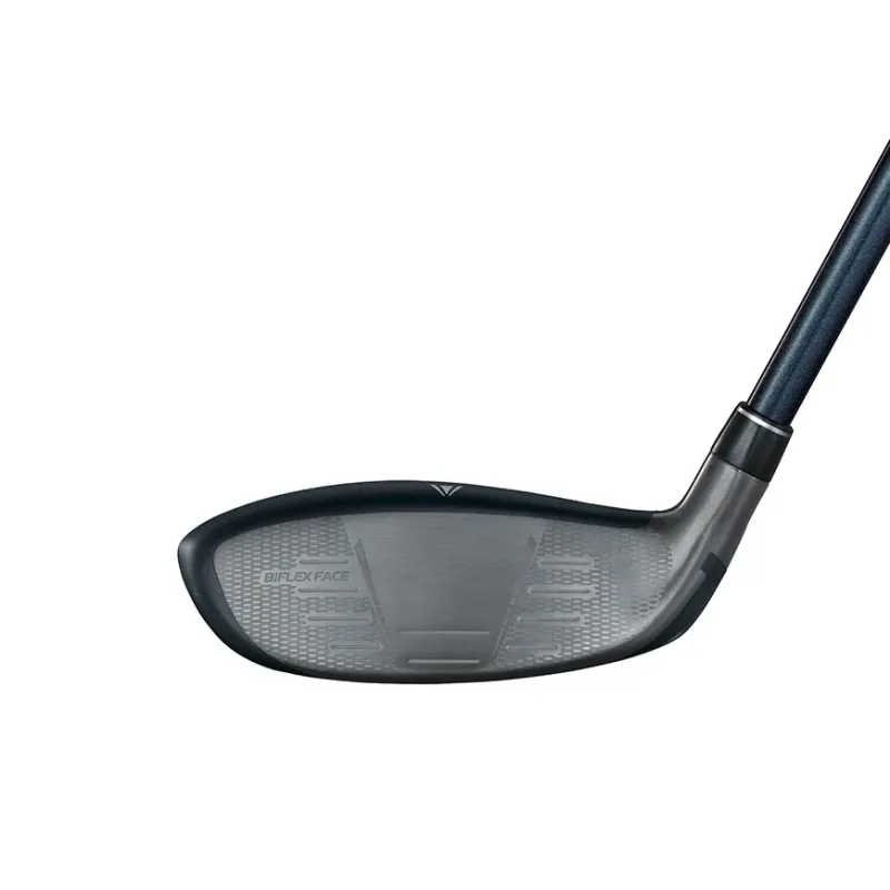 HYBRIDE XXIO 14 PLUS