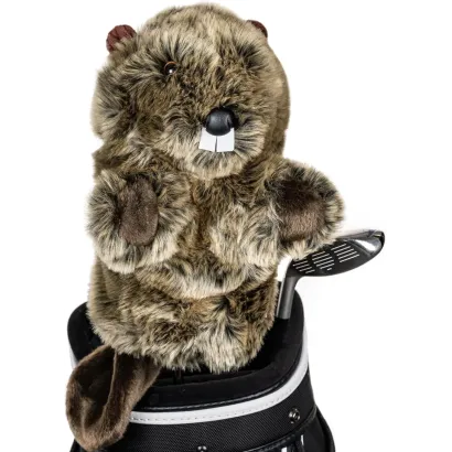 CAPUCHON BEAVER (CASTOR)