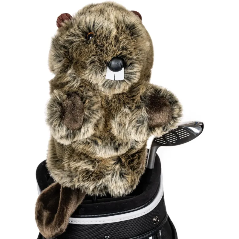 CAPUCHON BEAVER (CASTOR)