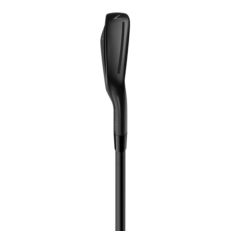 TaylorMade P790 Designer Series Black édition limitée| Graphite