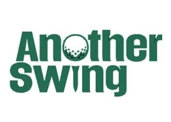 ANOTHER SWING